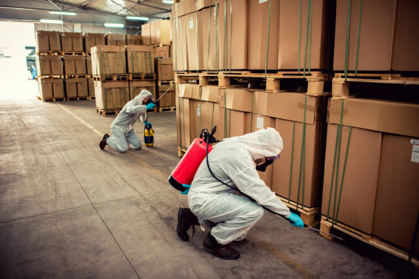Best Affordable Pest Control Services  in Waynesboro, TN
