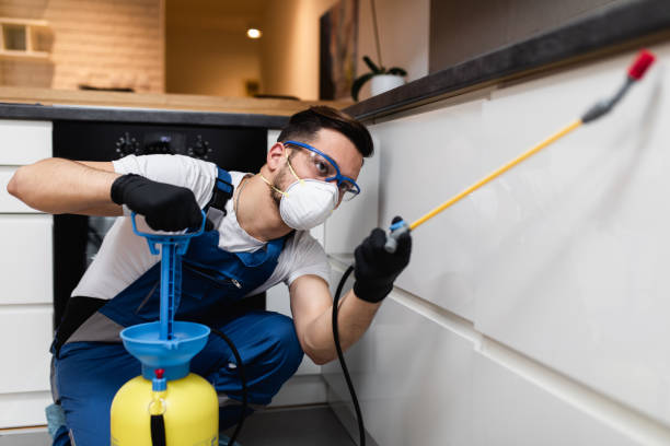 Professional Pest Control in Waynesboro, TN