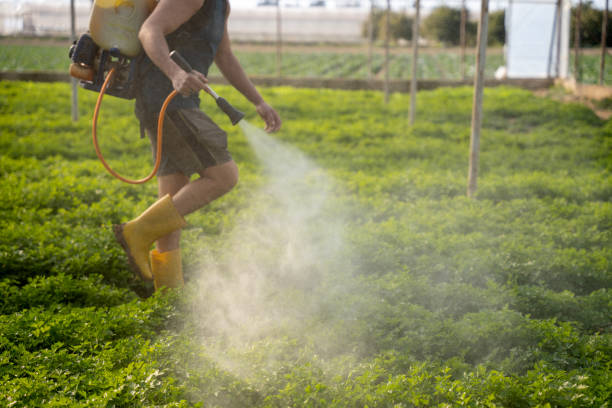 Best Residential Pest Control  in Waynesboro, TN