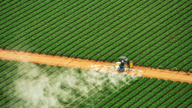 Best Pest Removal Services  in Waynesboro, TN